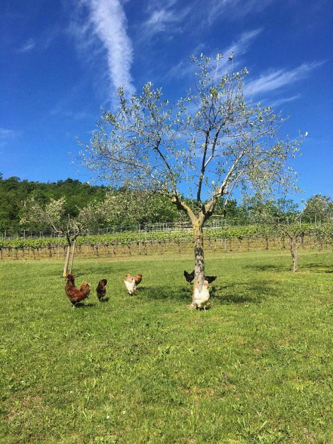 Villa Agriturismo Ca' Cristane Rivoli Veronese Exterior foto