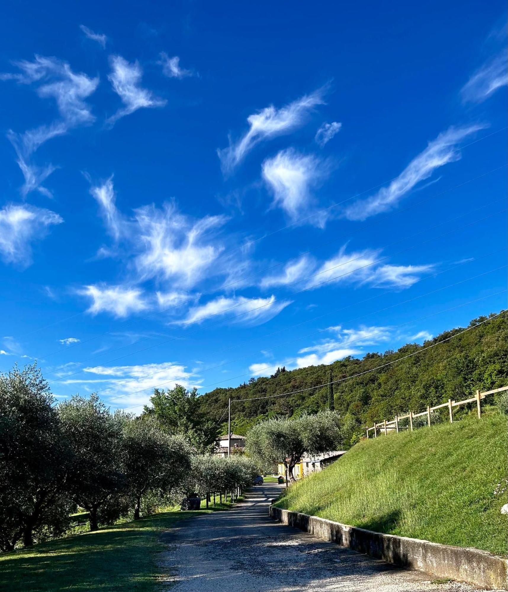 Villa Agriturismo Ca' Cristane Rivoli Veronese Exterior foto