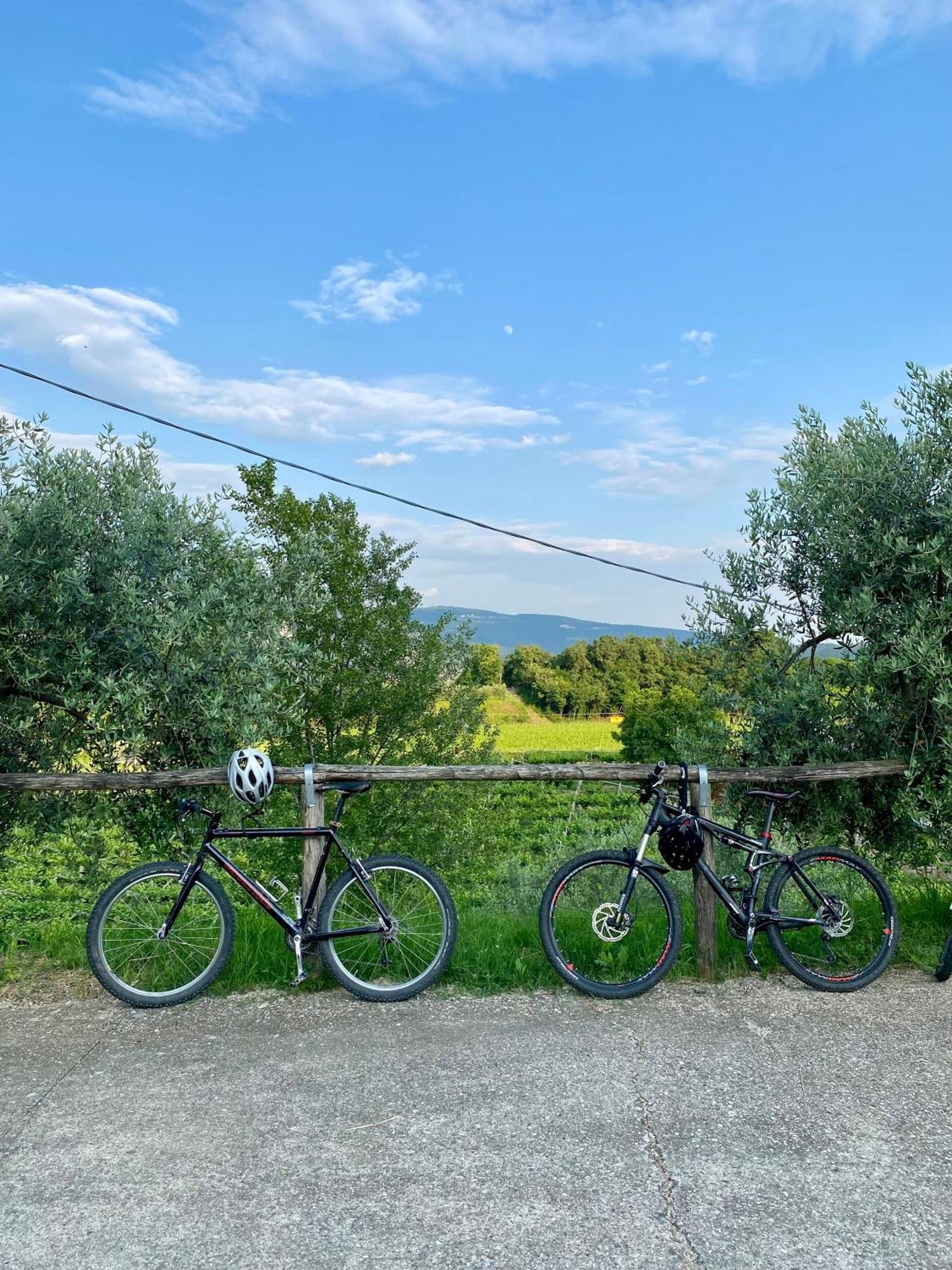 Villa Agriturismo Ca' Cristane Rivoli Veronese Exterior foto