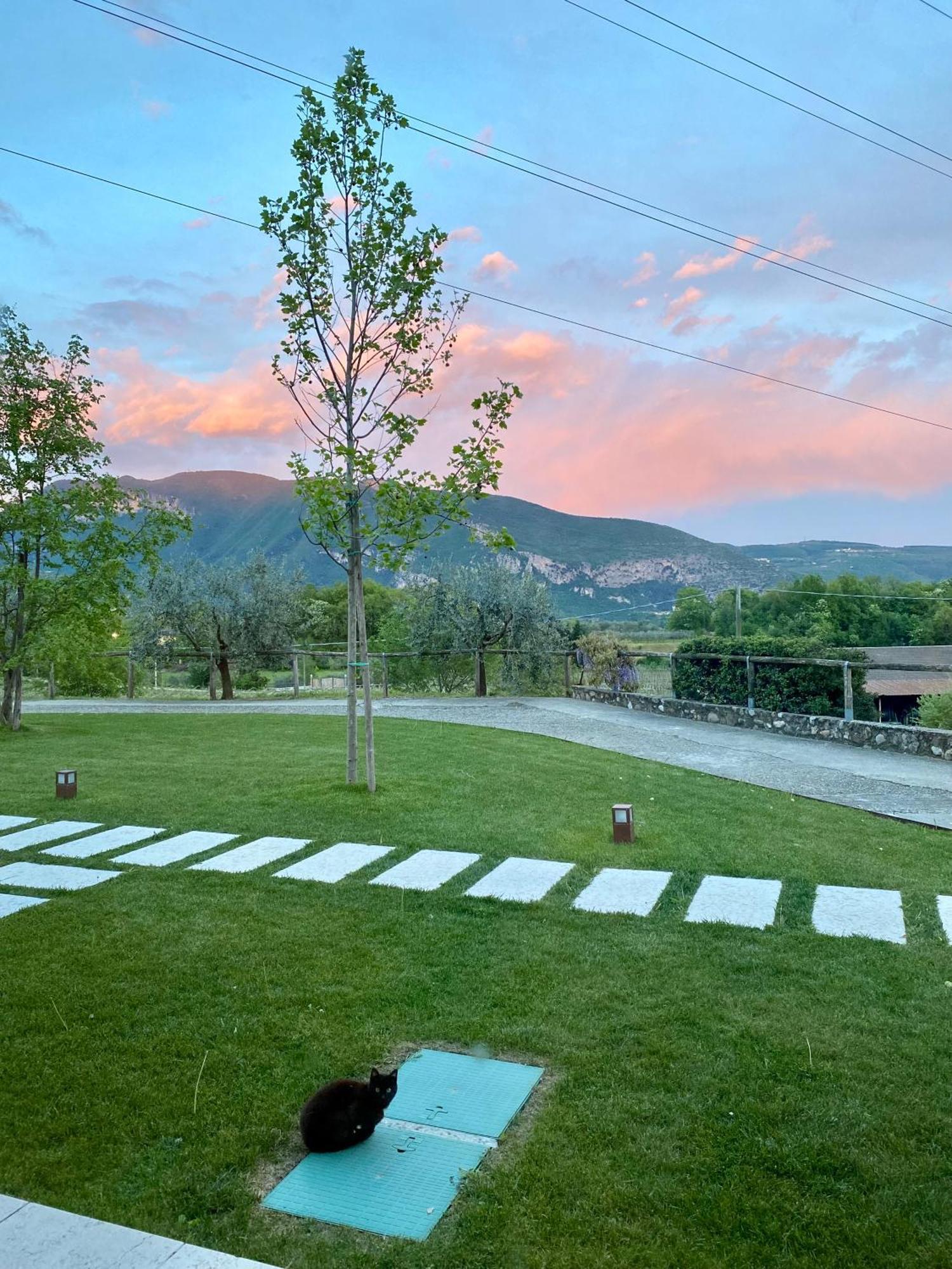 Agriturismo Ca' Cristane Rivoli Veronese Exterior foto